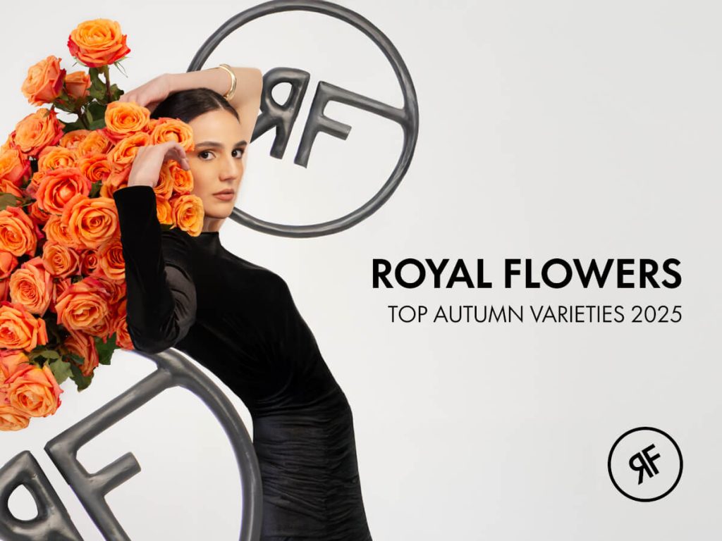 Model with Best Autumn Rose Varieties in 2025