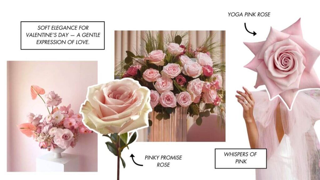 Valentine's Day pink roses collage
