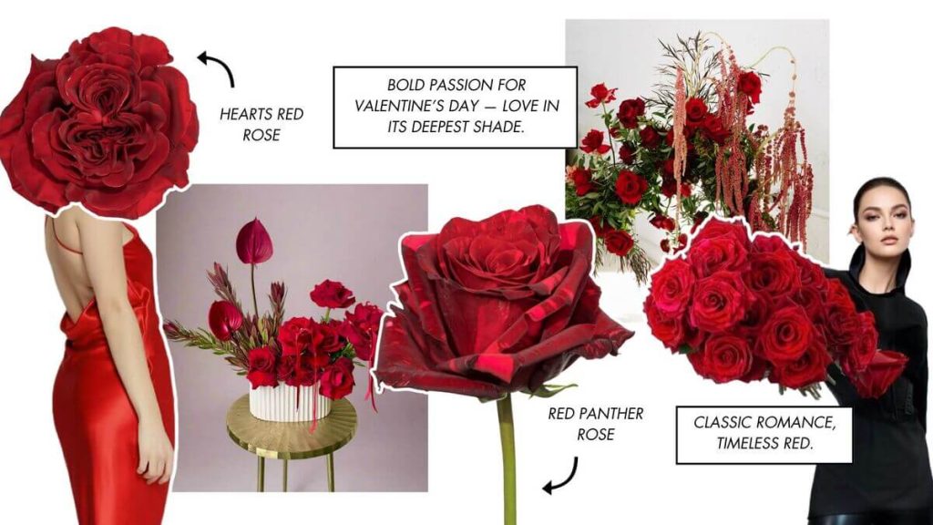 Valentine's Day red roses collage