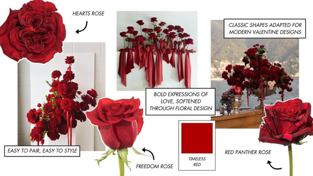 Collage of Classic Valentine's Day Red Roses