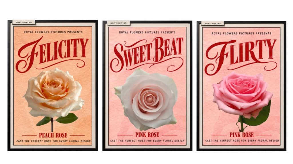 Felicity, Sweet Beat, and Flirty rose varieties by Royal Flowers displayed in vintage floral design posters.
